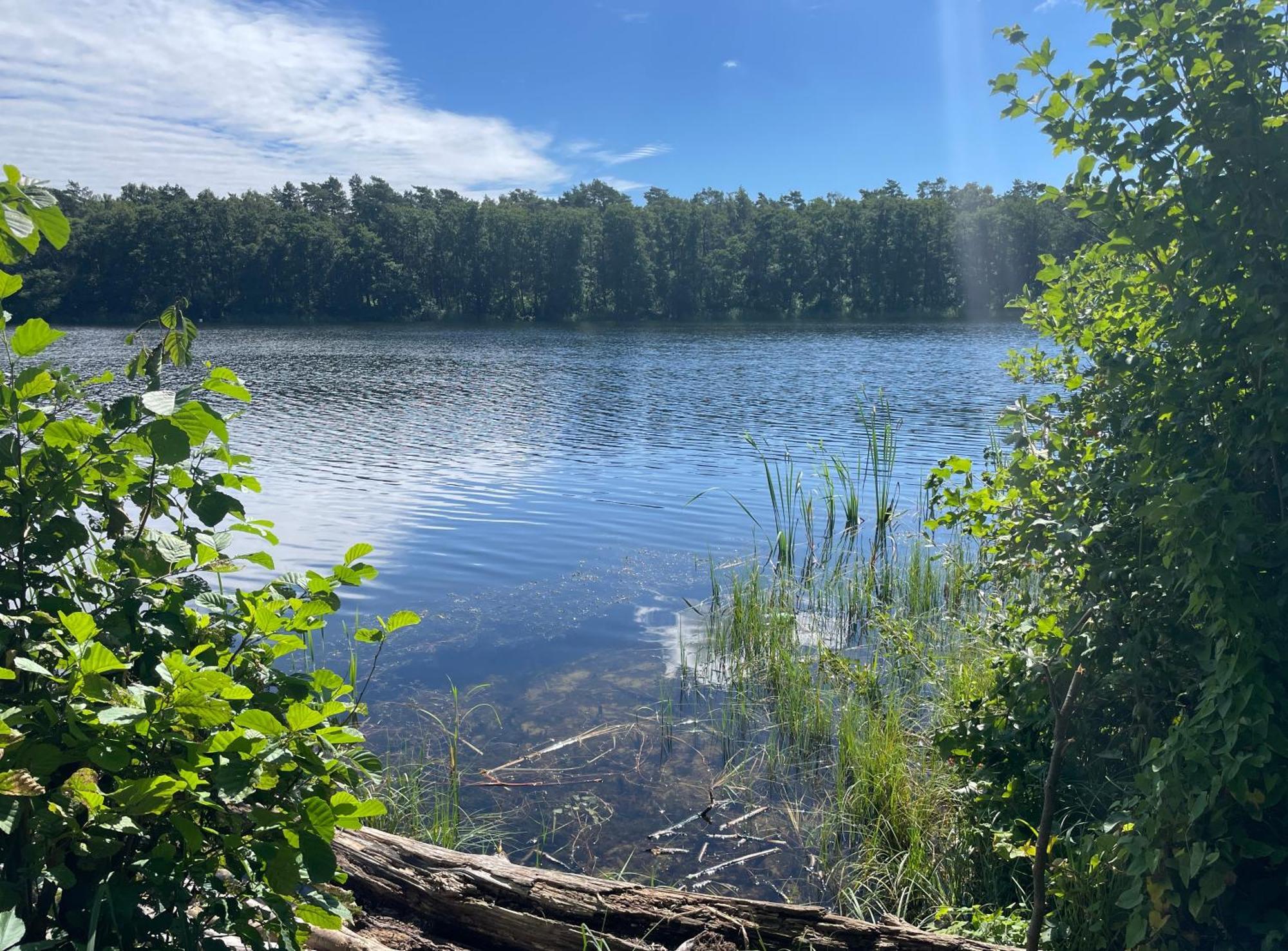 Ostseeperle - Pool, Sauna, 2 Bikes Dziwnow Bagian luar foto